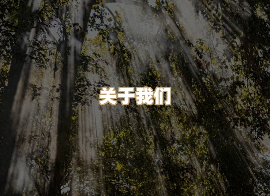 关于瑞达德标